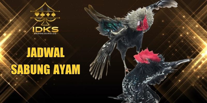 Jadwal Sabung Ayam